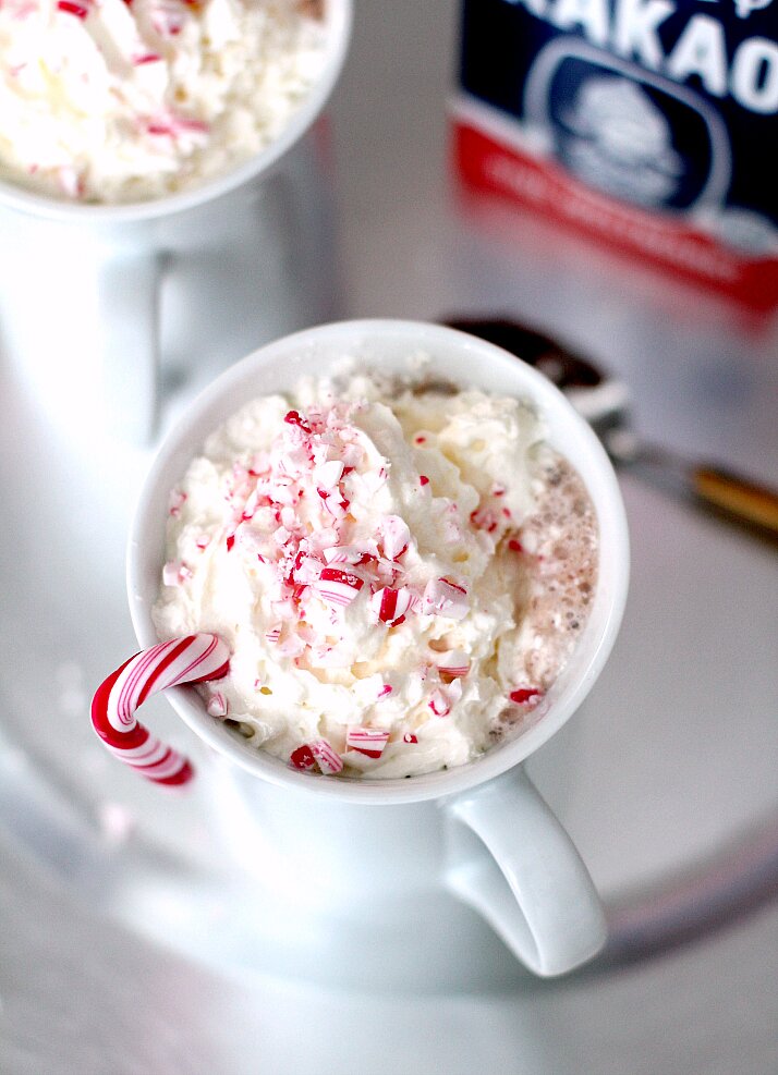 3 Delicious Hot Chocolate Recipe | The Daily Dose