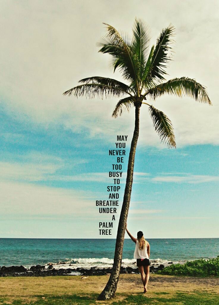 Inspire | The Daily Dose