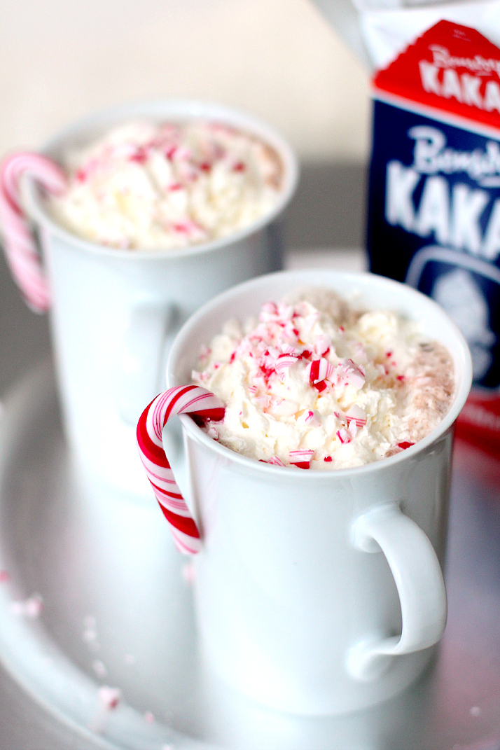 3 Delicious Hot Chocolate Recipe | The Daily Dose