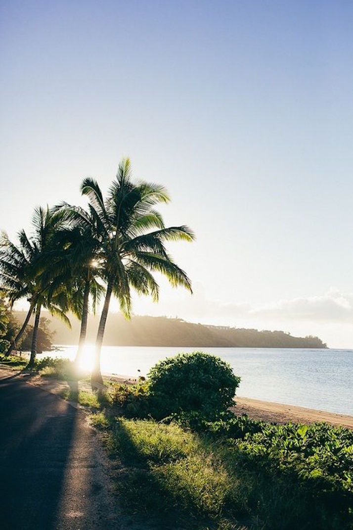 Warm Winter Destinations: Hawaii | The Daily Dose