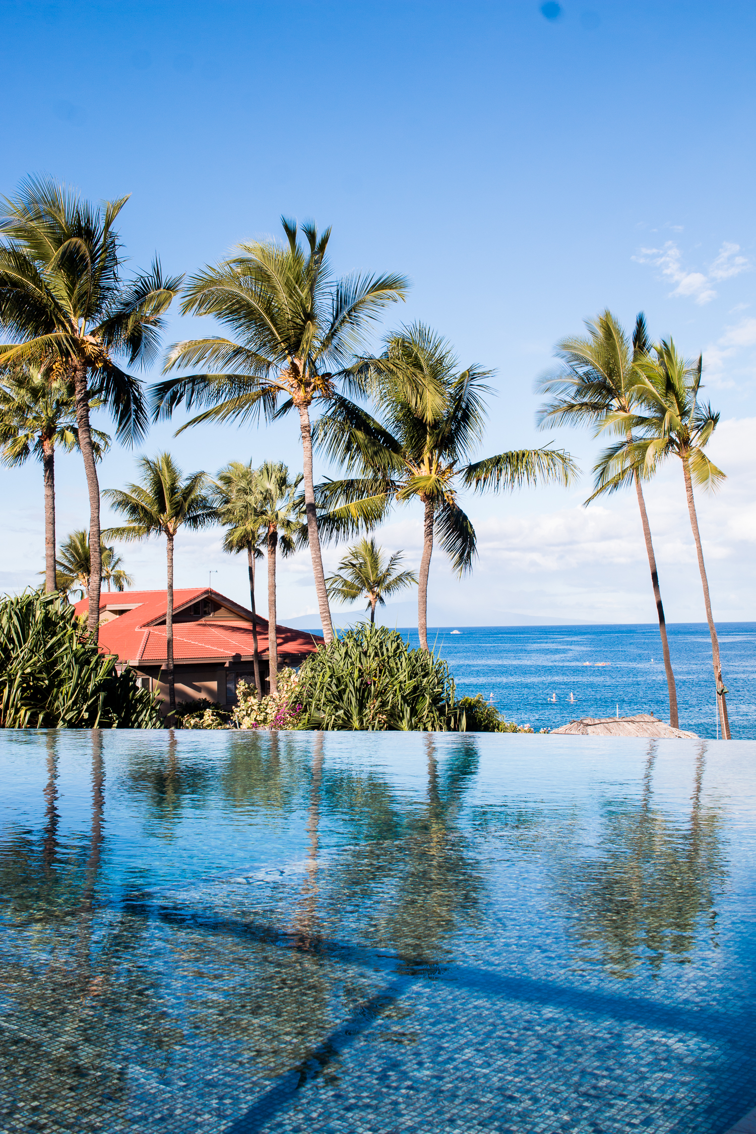 Travel Diary Maui | Love Daily Dose