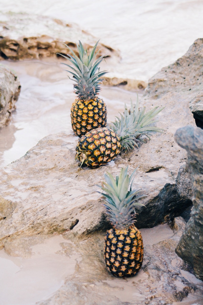 Etsy Picks: Pineapples