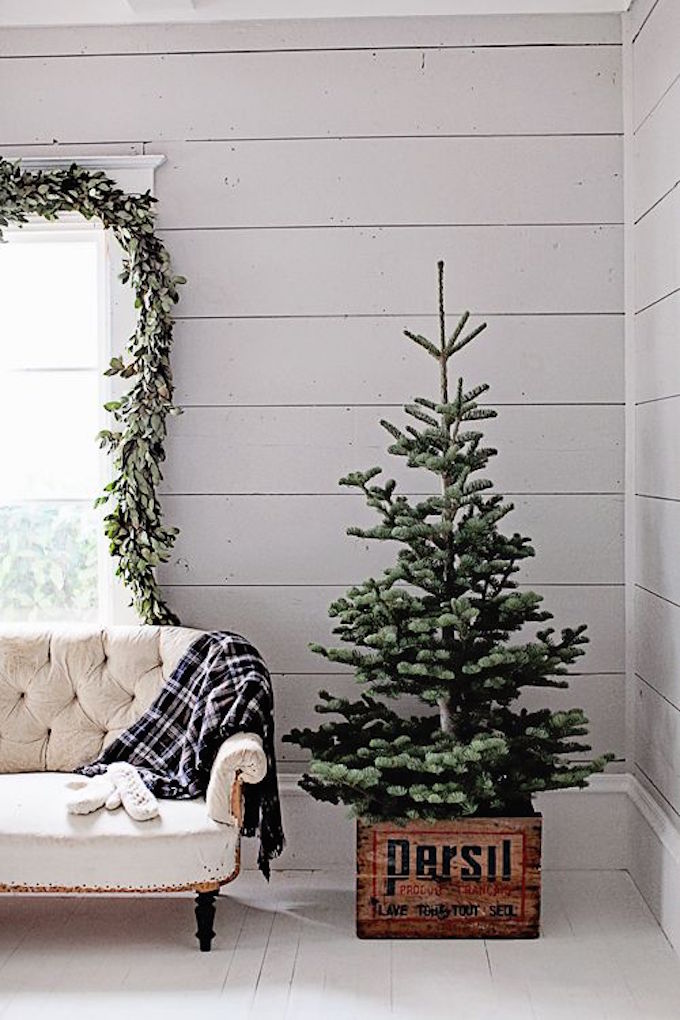 Inspire: One Month Until Christmas | The Daily Dose