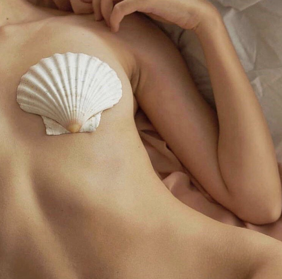 Inspire: Shell Life | The Daily Dose